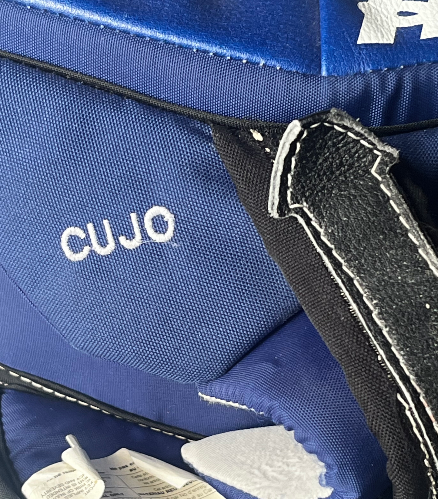 Curtis Joseph Autographed Toronto Maple Leafs Goalie Blocker