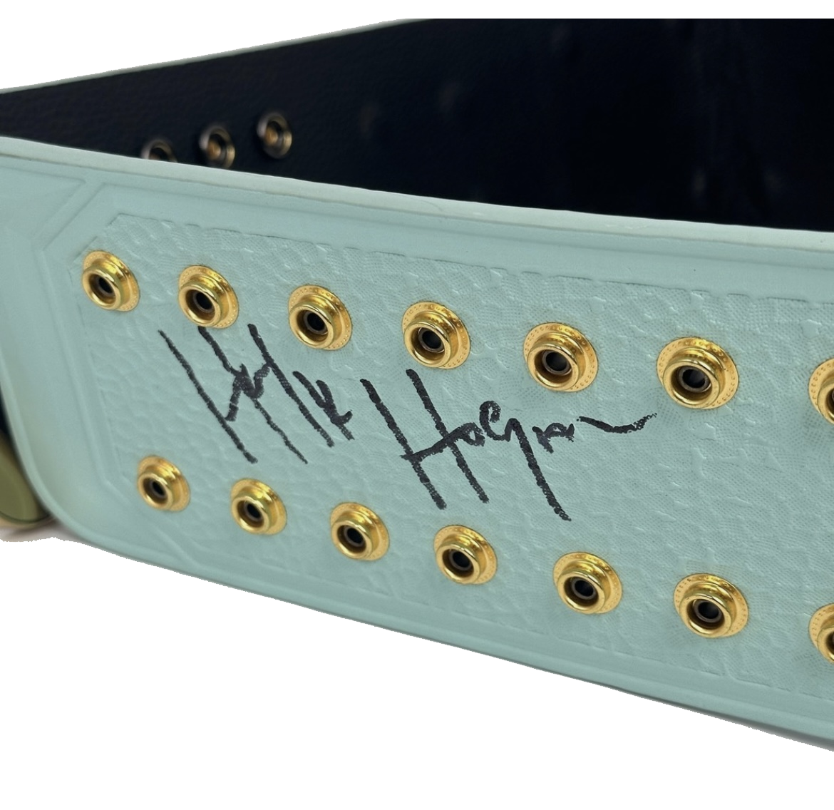 Hulk Hogan Signed Blue Winged V2 Wresting Belt With Signed Cover