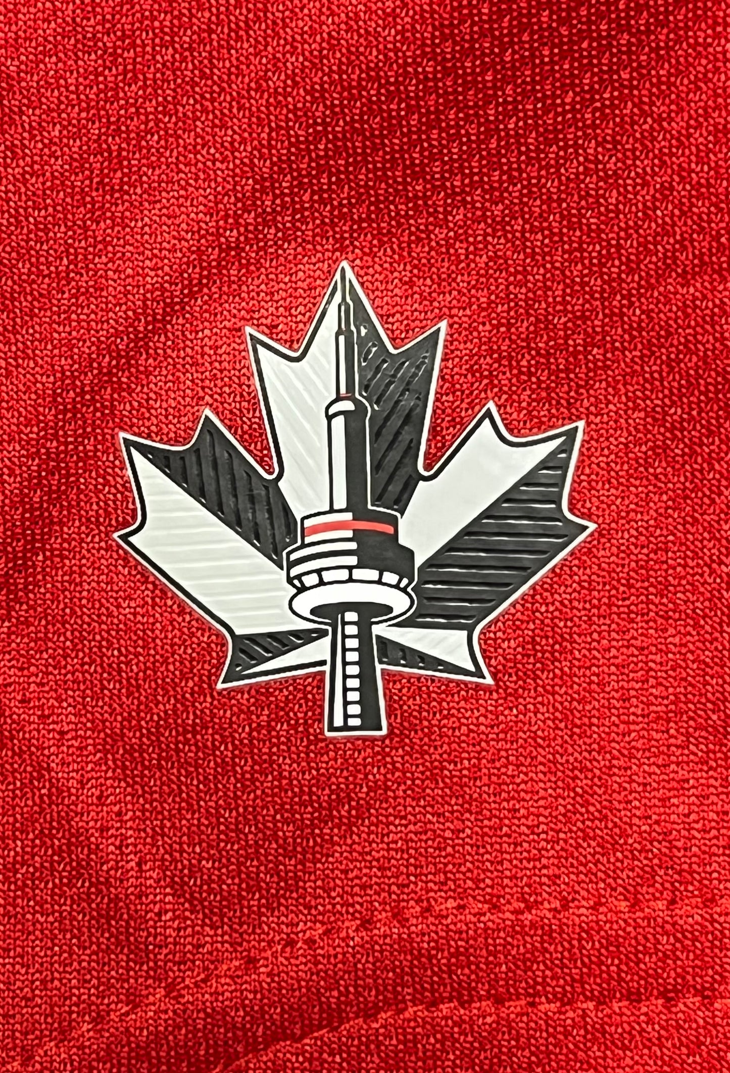 Toronto FC 2019 Team Signed Jersey. Fanatics / Beckett Authentic