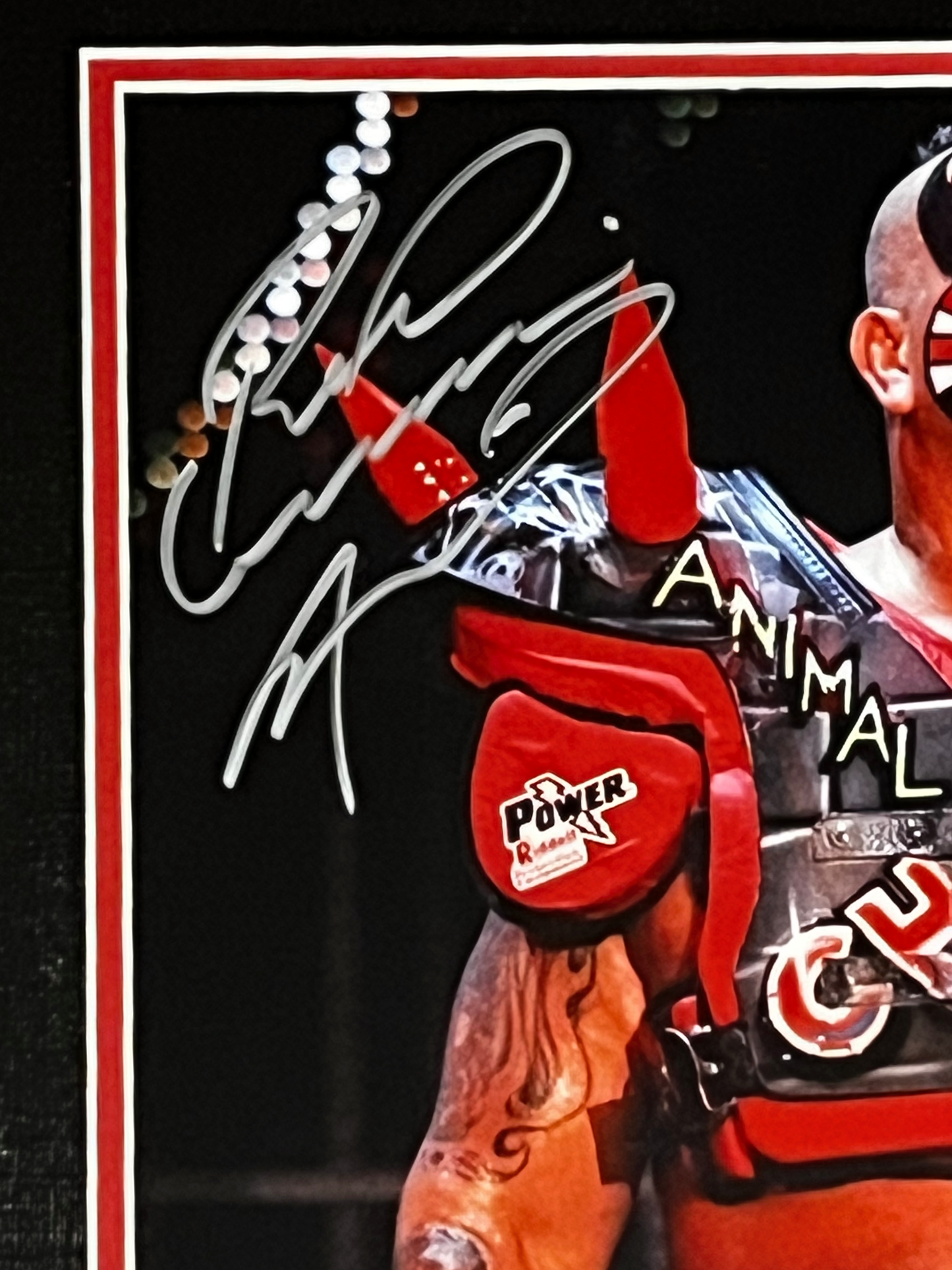 Road Warrior Autographed Framed 8x10 Photo